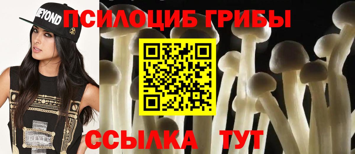 Шатура  Галлюциногенные грибы мухоморы  Псилоцибиновые грибы GOLDEN TEACHER  Вход с VPN 